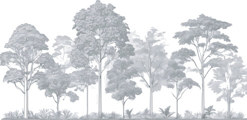 trees in the forest