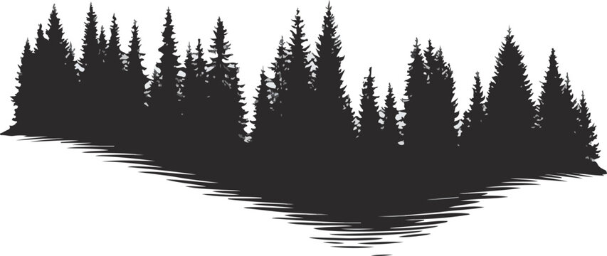 Northern Forest Silhouette - Evergreen Tree Line Landscape