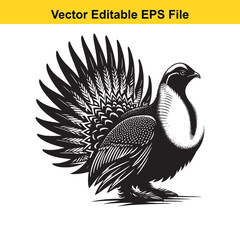 Majestic Black and White Illustration of a Bird with a Striking Tail