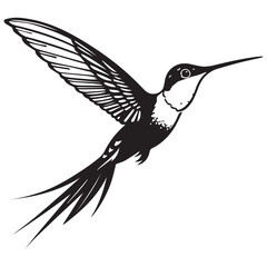 Obraz premium Elegant black and white hummingbird in flight illustration