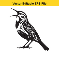 Black and white vector illustration of a singing bird