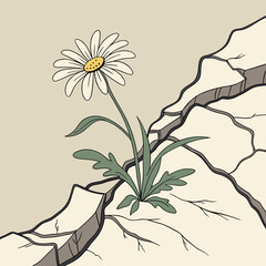 vector illustration of a daisy flower
