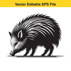 Black and White Illustration of a Porcupine