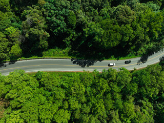 Car in rural road in deep rain forest with green tree forest view from above, Aerial view car in the forest on asphalt road background, Electric vehicle EV car drive asphalt road green tree forest.
