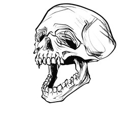 Vampire Skull Outline