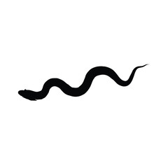 Fototapeta premium Black Eel Silhouette Aquatic Animal Undulating Shape