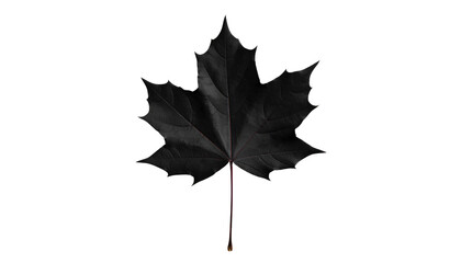 Naklejka premium Minimalist Maple Leaf Art Black on Transparent background PNG