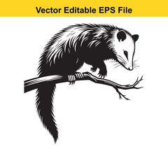 A Black and White Illustration of a Possum on a Branch