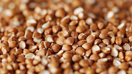 Closeup of a collection of brown buckwheat kernels