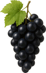 black grapes isolated on white