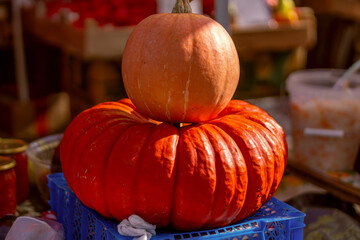Bright ripe pumpkins lie on market counter and await their buyer. Topic - harvest, farmers market, sales, bazaar, agriculture.