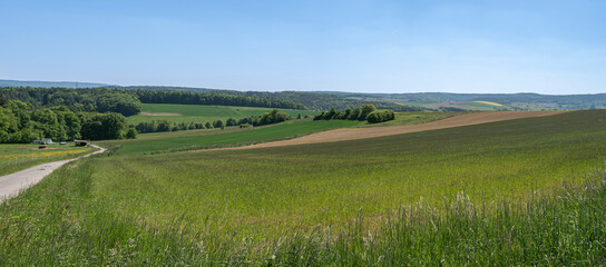 Wide panorama of German countryside with green fields, forests, and hills on a bright spring day beneath a blue sky.
