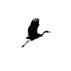 Fototapeta premium Black Silhouette of Crane Bird in Flight White Background 1