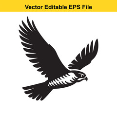 Obraz premium Majestic Black Hawk in Flight: A Vector Illustration