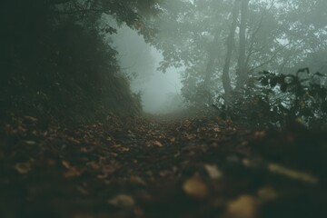 Serene narrow forest path blanketed with fallen autumn leaves in the mist on a tranquil day