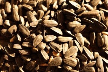 sunflower seed background