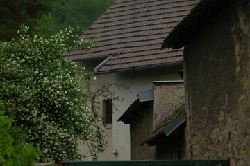The image captures a serene village scene with charming buildings and lush greenery, showcasing the beauty of rural architecture and the picturesque landscape of country life
