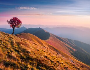 solitary tree atop dreamy pastel mountain ridge