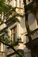 A stunning buildings facade showcases intricate windows and architectural elements, framed by tree branches, offering a captivating view of the surrounding urban environment