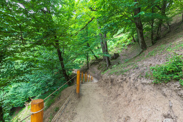 Mountain path to the Shirhal waterfall