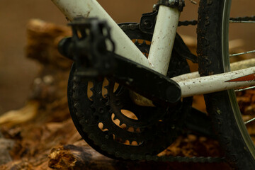 This closeup image showcases a detailed bicycle chainring and crank set set against a tranquil outdoor backdrop of dirt, wood, and vibrant greenery, creating a serene ambiance
