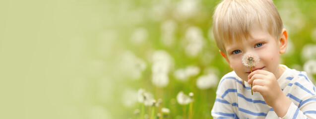  Blonde boy holding a dandelion and smiling in a blooming meadow full of white seed heads on a sunny day.