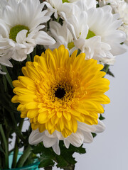 decorative flowers close-up macro. Holiday greeting card.