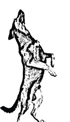 Dog dancer