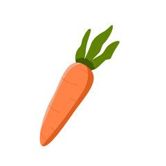Fresh ripe carrot fruit vector illustration. Flat design vegetable icon illustration 