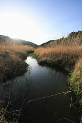 兵庫県神河町　砥峰高原の風景