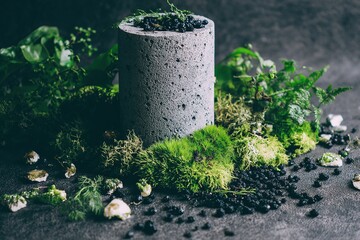 Organic product scene with concrete base and moss for nature-themed branding
