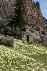 Buildings in Mining Ghost Town