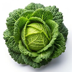 Top View Of A Organic Cabbage On A Solid White Background Photo