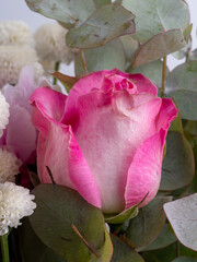 decorative flowers close-up macro. Holiday greeting card.