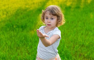 Child playing with ladybug. Selective focus.