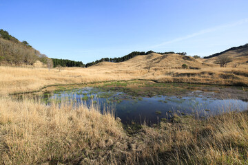 兵庫県神河町　砥峰高原の風景