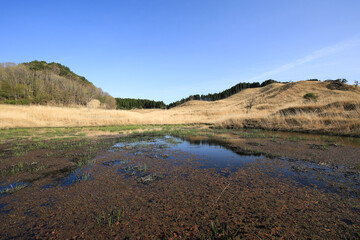 兵庫県神河町　砥峰高原の風景