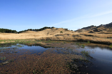 兵庫県神河町　砥峰高原の風景
