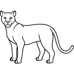 African Wildcat vector line art on white background