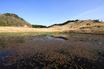 兵庫県神河町　砥峰高原の風景