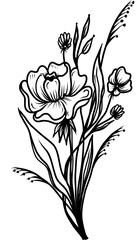 Hand Drawn Minimal Linear Vector Floral Pattern Design