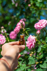 Rose essential oil in a bottle. Selective focus.