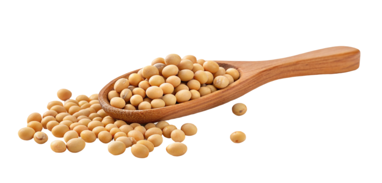 Soybeans in wooden spoon close up shot for healthy eating and vegan protein source concept photography