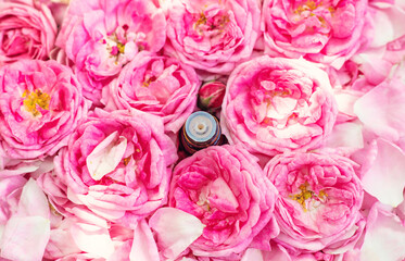 Rose essential oil in a bottle. Selective focus.