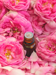 Rose essential oil in a bottle. Selective focus.