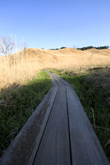 兵庫県神河町　砥峰高原の風景