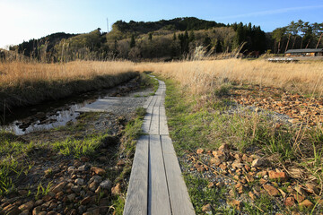 兵庫県神河町　砥峰高原の風景