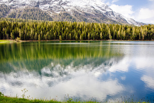 Snow-capped mountains reflect in tranquil lake surrounded by lush forest