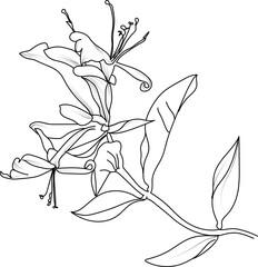 Silhouette of Hollyhock flower coloring pages, petal leaves of branch vector illustration, Hollyhock flower free printable silhouette design line art isolated on white backgrounds