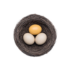 Bird nest containing two white eggs and one golden egg, symbolizing uniqueness and value, is set against plain background. nest is crafted from twigs, creating natural and rustic appearance